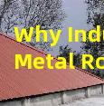Why Industrial Metal Roofs Need Professional Coatings